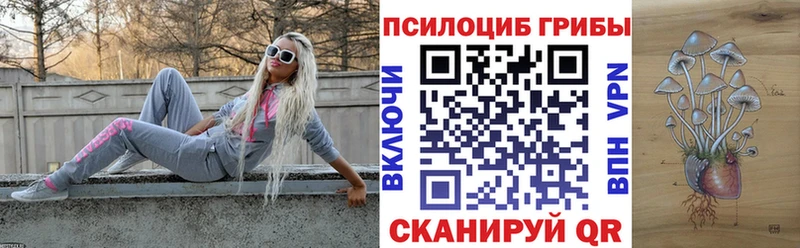Псилоцибиновые грибы мицелий  Иннополис 
